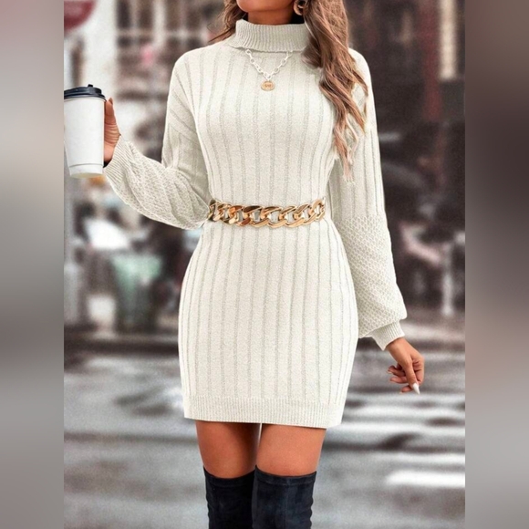 New Mixed Ribbed Knit Turtleneck Short Sweater Dress Long Sleeve Ivory Cream - Picture 6 of 9
